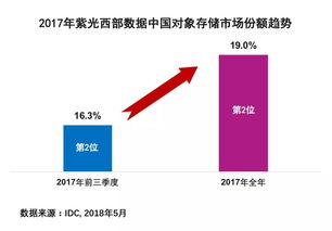 紫光西部數(shù)據(jù)2017年Q4在對(duì)象存儲(chǔ)市場(chǎng)占有率突破19%，信息技術(shù)咨詢(xún)服務(wù)成關(guān)鍵驅(qū)動(dòng)力